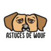 Tête de chien