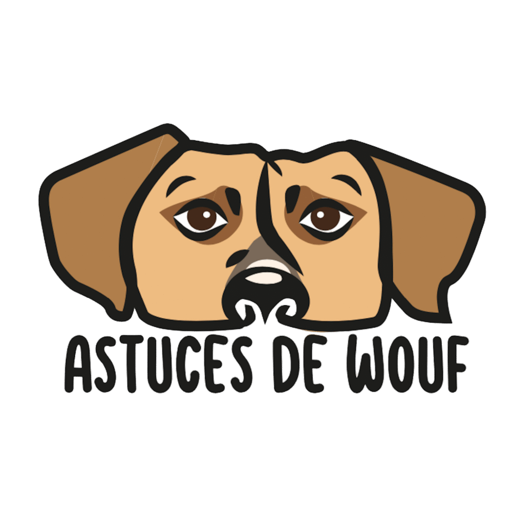 Tête de chien